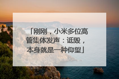 刚刚，小米多位高管集体发声：诋毁，本身就是一种仰望
