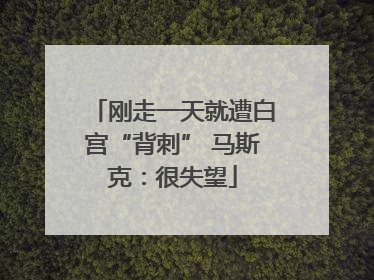 刚走一天就遭白宫“背刺” 马斯克：很失望