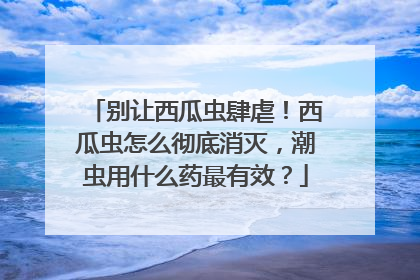 别让西瓜虫肆虐！西瓜虫怎么彻底消灭，潮虫用什么药最有效？