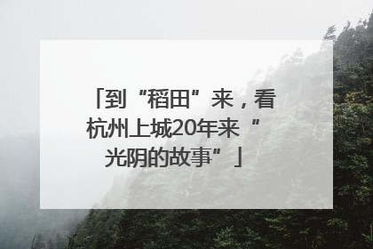 到“稻田”来，看杭州上城20年来“光阴的故事”