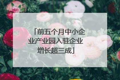 前五个月中小企业产业园入驻企业增长超三成