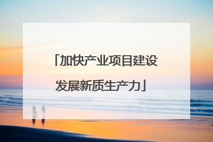 加快产业项目建设 发展新质生产力