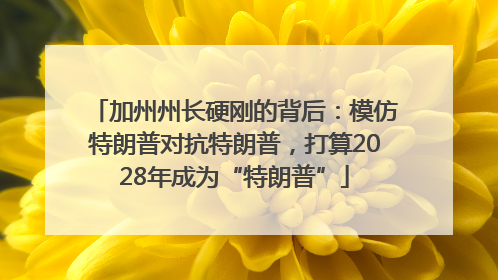 加州州长硬刚的背后：模仿特朗普对抗特朗普，打算2028年成为“特朗普”