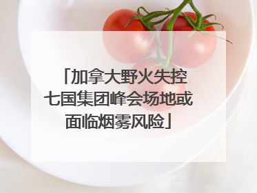 加拿大野火失控 七国集团峰会场地或面临烟雾风险