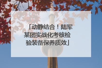 动静结合！陆军某团实战化考核检验装备保养质效