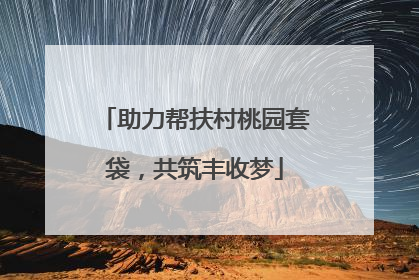 助力帮扶村桃园套袋，共筑丰收梦