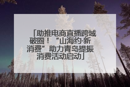 助推电商直播跨域破圈！“山海约·新消费”助力青岛提振消费活动启动
