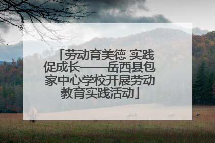 劳动育美德 实践促成长——岳西县包家中心学校开展劳动教育实践活动