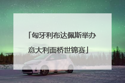 匈牙利布达佩斯举办意大利面桥世锦赛