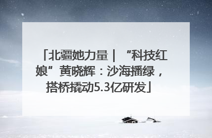 北疆她力量｜“科技红娘”黄晓辉：沙海播绿，搭桥撬动5.3亿研发