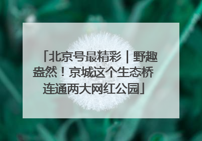 北京号最精彩｜野趣盎然！京城这个生态桥连通两大网红公园