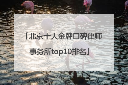 北京十大金牌口碑律师事务所top10排名