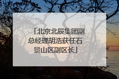 北京北辰集团副总经理胡浩获任石景山区副区长