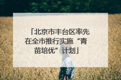 北京市丰台区率先在全市推行实施“青苗培优”计划
