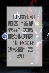 北京市朝阳区“首都老兵”志愿服务队开展“红色文化进校园”活动