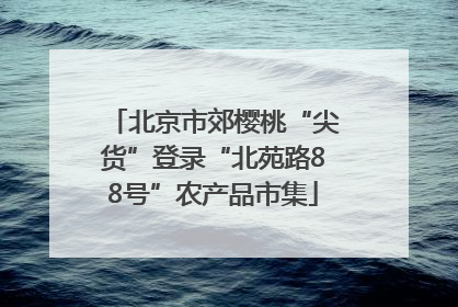 北京市郊樱桃“尖货”登录“北苑路88号”农产品市集