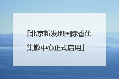 北京新发地国际香蕉集散中心正式启用