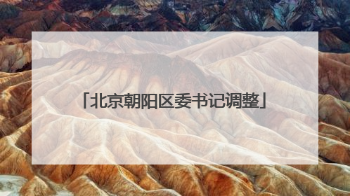 北京朝阳区委书记调整