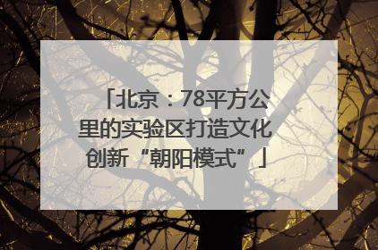 北京：78平方公里的实验区打造文化创新“朝阳模式”