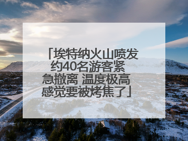 埃特纳火山喷发 约40名游客紧急撤离 温度极高感觉要被烤焦了