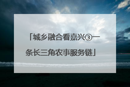 城乡融合看嘉兴③一条长三角农事服务链