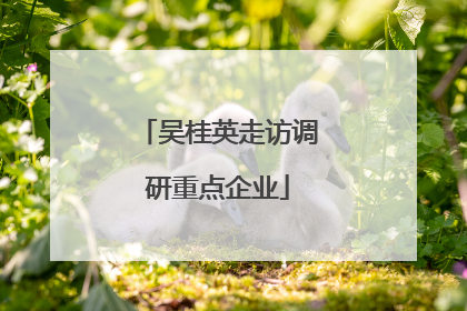 吴桂英走访调研重点企业