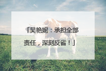 吴艳妮：承担全部责任，深刻反省！