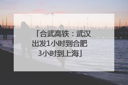 合武高铁：武汉出发1小时到合肥3小时到上海