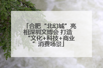 合肥“北幻城”亮相深圳文博会 打造“文化+科技+商业”消费场景