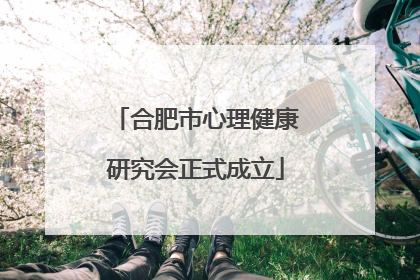 合肥市心理健康研究会正式成立