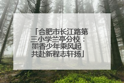 合肥市长江路第三小学兰亭分校：墨香少年乘风起 共赴新程志轩扬