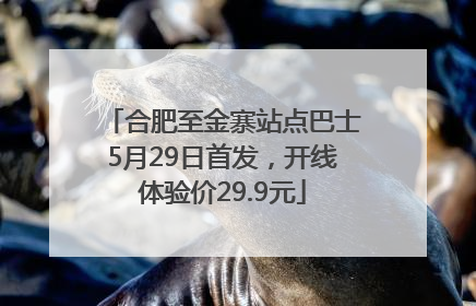 合肥至金寨站点巴士5月29日首发，开线体验价29.9元