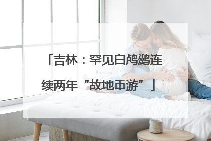 吉林：罕见白鸬鹚连续两年“故地重游”
