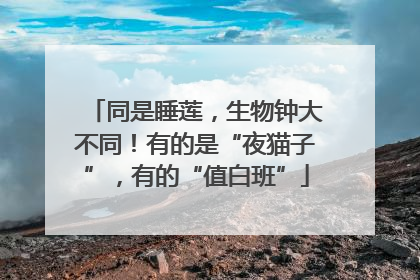 同是睡莲，生物钟大不同！有的是“夜猫子”，有的“值白班”