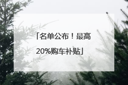 名单公布！最高20%购车补贴