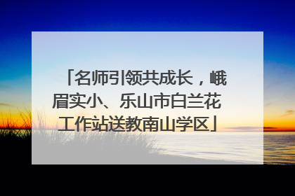 名师引领共成长，峨眉实小、乐山市白兰花工作站送教南山学区
