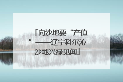 向沙地要“产值”——辽宁科尔沁沙地兴绿见闻