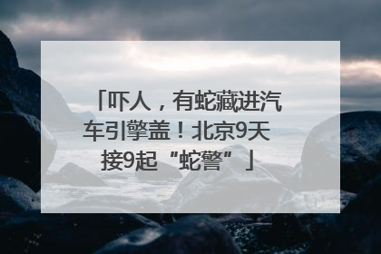 吓人，有蛇藏进汽车引擎盖！北京9天接9起“蛇警”