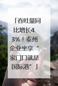 吞吐量同比增长4.3%！泰州企业坐享“家门口就是国际港”