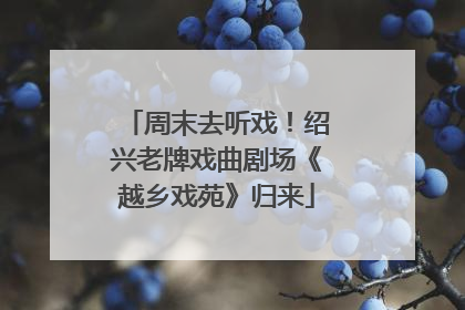 周末去听戏！绍兴老牌戏曲剧场《越乡戏苑》归来