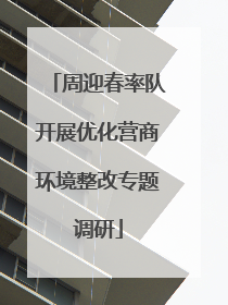 周迎春率队开展优化营商环境整改专题调研