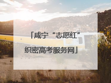 咸宁“志愿红”织密高考服务网