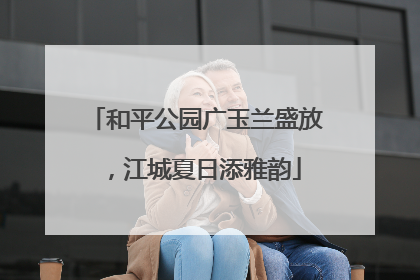 和平公园广玉兰盛放，江城夏日添雅韵