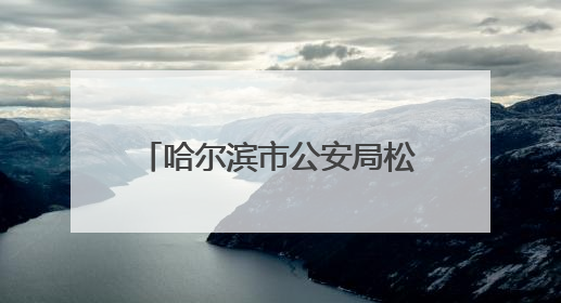 哈尔滨市公安局松北分局开展庆祝中国共产党成立104周年系列活动