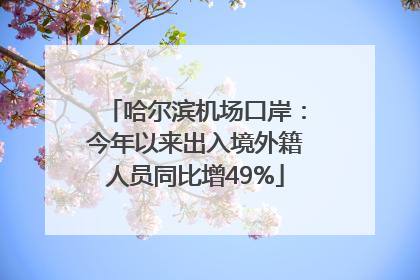 哈尔滨机场口岸：今年以来出入境外籍人员同比增49%