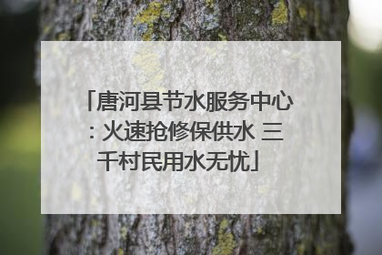 唐河县节水服务中心：火速抢修保供水 三千村民用水无忧