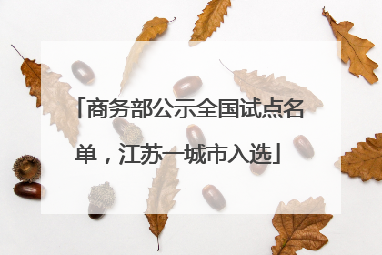 商务部公示全国试点名单，江苏一城市入选