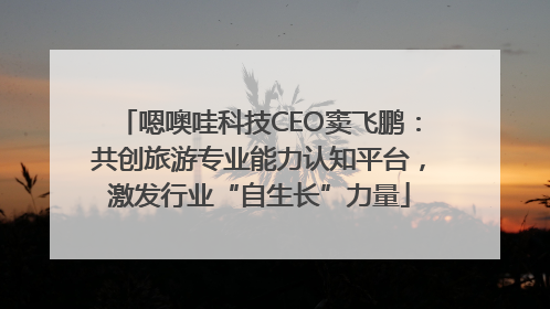 嗯噢哇科技CEO窦飞鹏：共创旅游专业能力认知平台，激发行业“自生长”力量