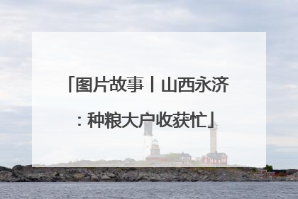 图片故事丨山西永济：种粮大户收获忙