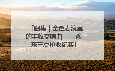 图集｜金色麦浪里的丰收交响曲——豫东三夏抢收纪实